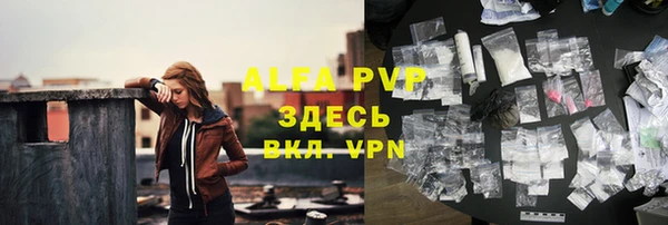 сатива Абаза