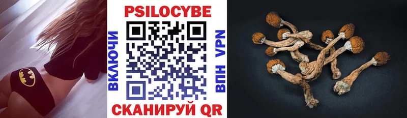 маркетплейс клад  Орёл  Галлюциногенные грибы MAGIC MUSHROOMS 